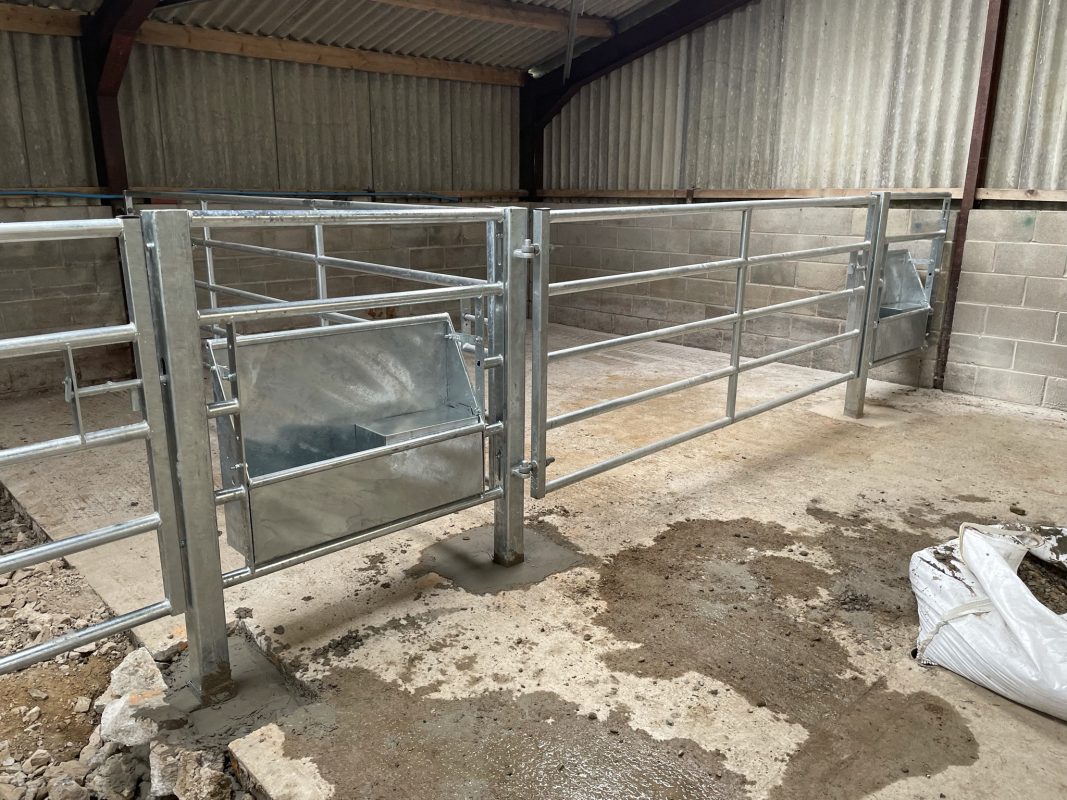 High Back Water Troughs for Cattle GST Fabrication